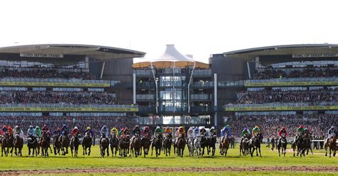 Grand National 2016 tips: Newsboy's best bets for the biggest .